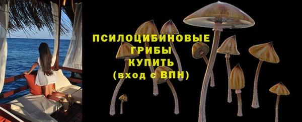 гашик Алзамай