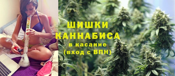 гашик Алзамай