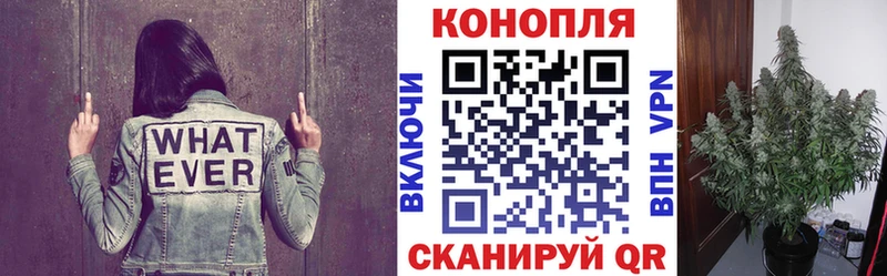 блэк спрут как войти  нарко площадка какой сайт  Шишки марихуана Amnesia  Островной 